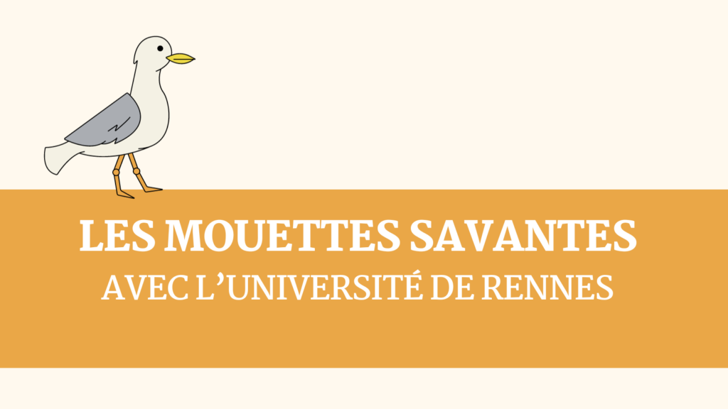 Les mouettes savantes (avec l'Université de Rennes)